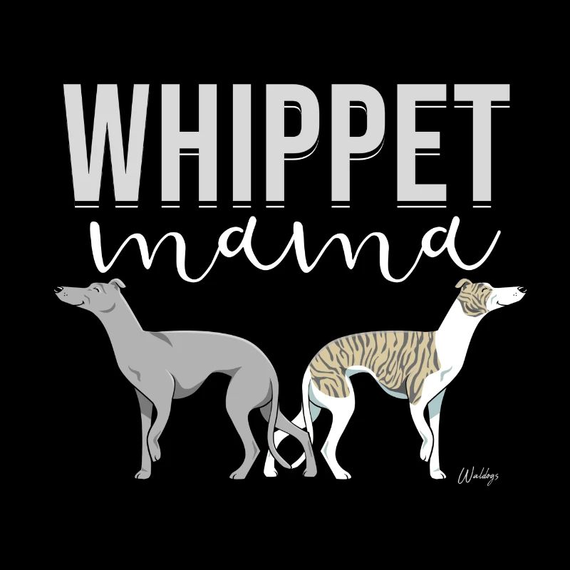 Whippet Mama III