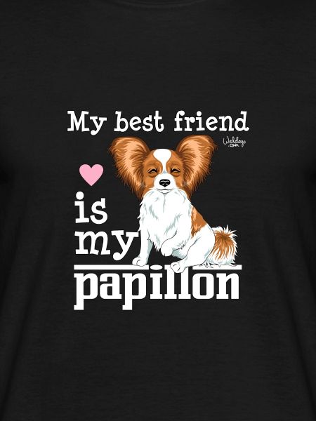 papillonfriend