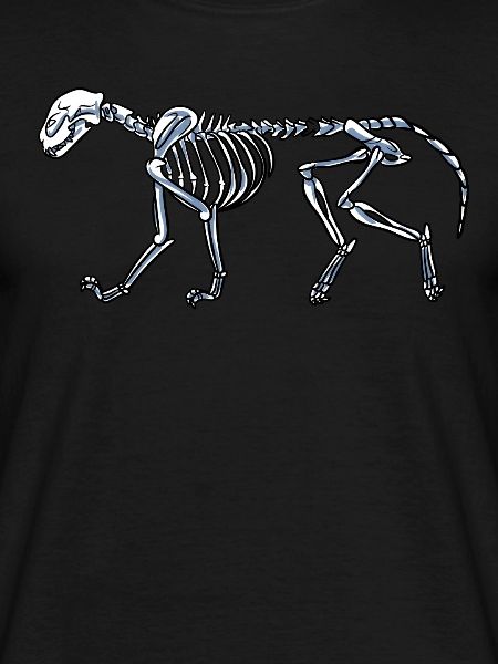 Skeleton Cat