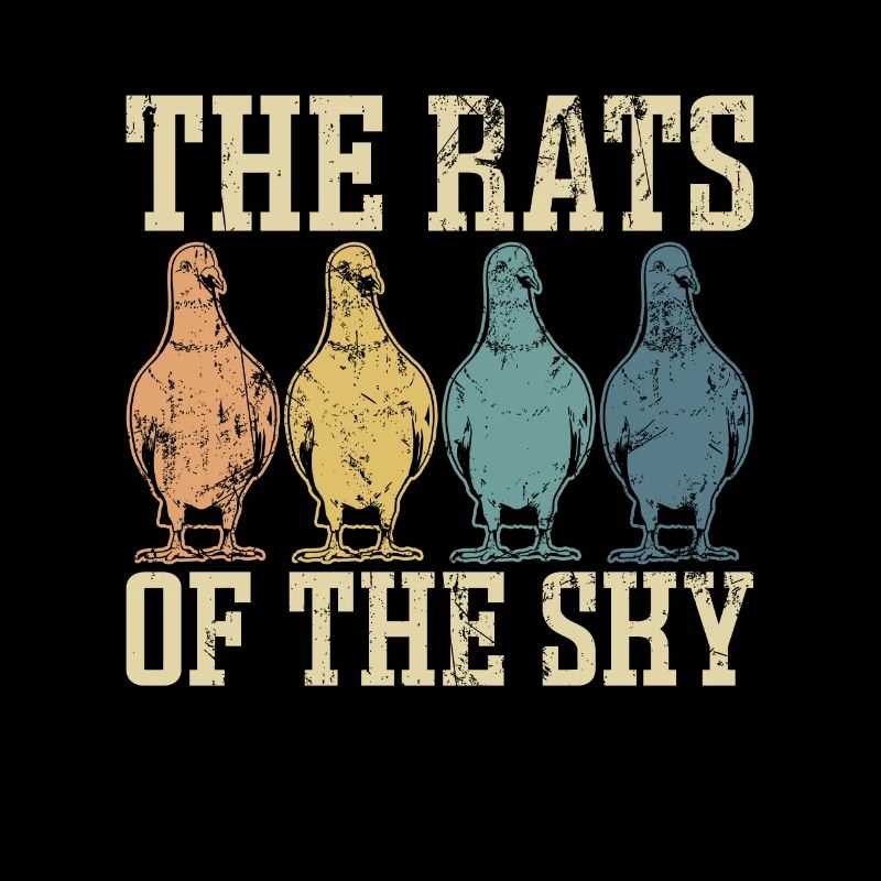 Pigeon voyageur Les rats du ciel Observation des oiseaux
