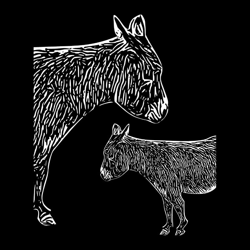 Two small donkeys with Wuschelfell long-eared