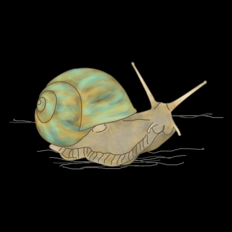 Snail, snail