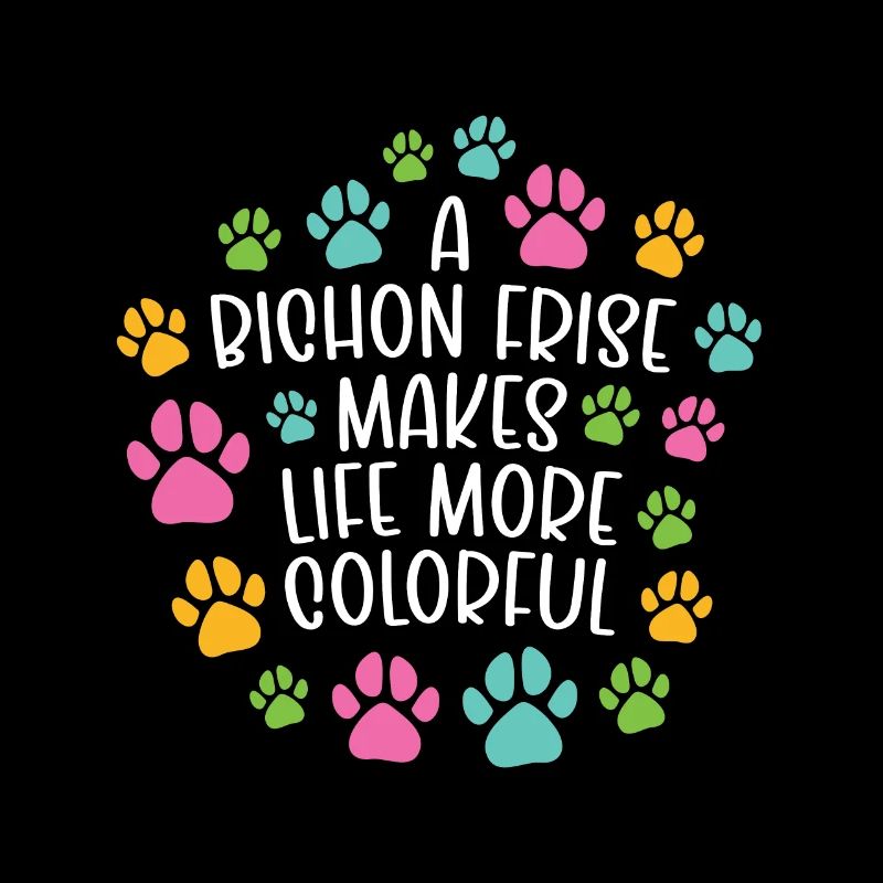 Bichon frise make life more colorful dog