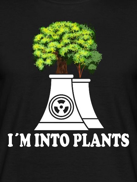 Nuclear Engineers - Nuclear Engineer