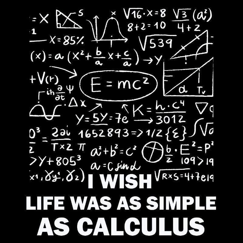 Funny Math Quote Math Teacher Math Sayings