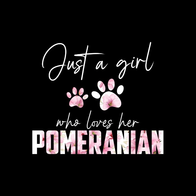 Zwergspitz Pomeranian