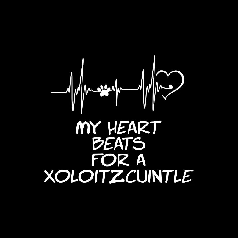My heart beats for a Xoloitzcuintle