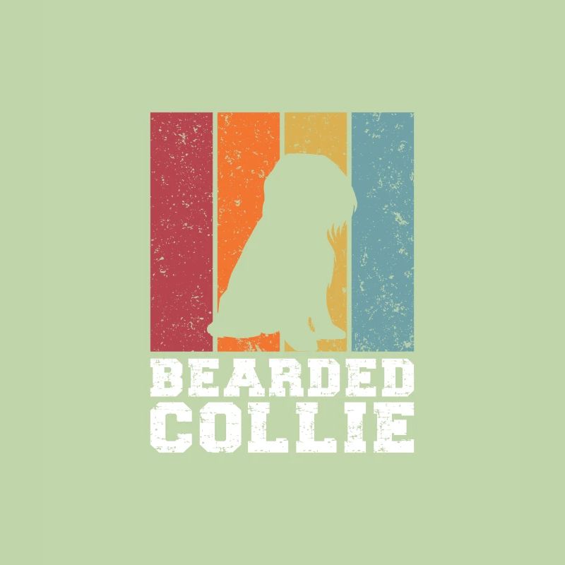 Bearded Collie