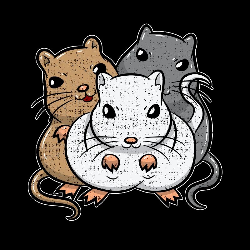 Souris de course Rennmäuse Course De Gerbil Rongeur
