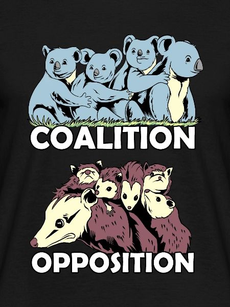 Koala coalición zarigüeya oposición animales zoológico