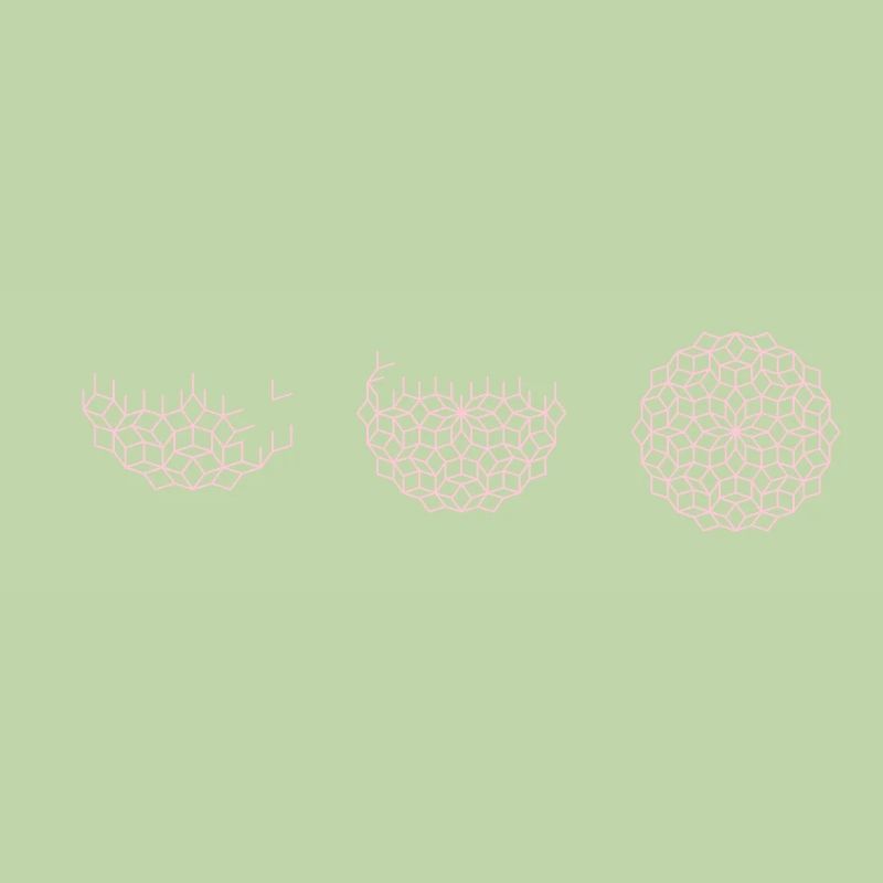 Penrose Tiling ST Pattern
