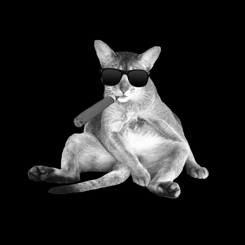 Chat mafia chat chats chat propriétaire cadeau