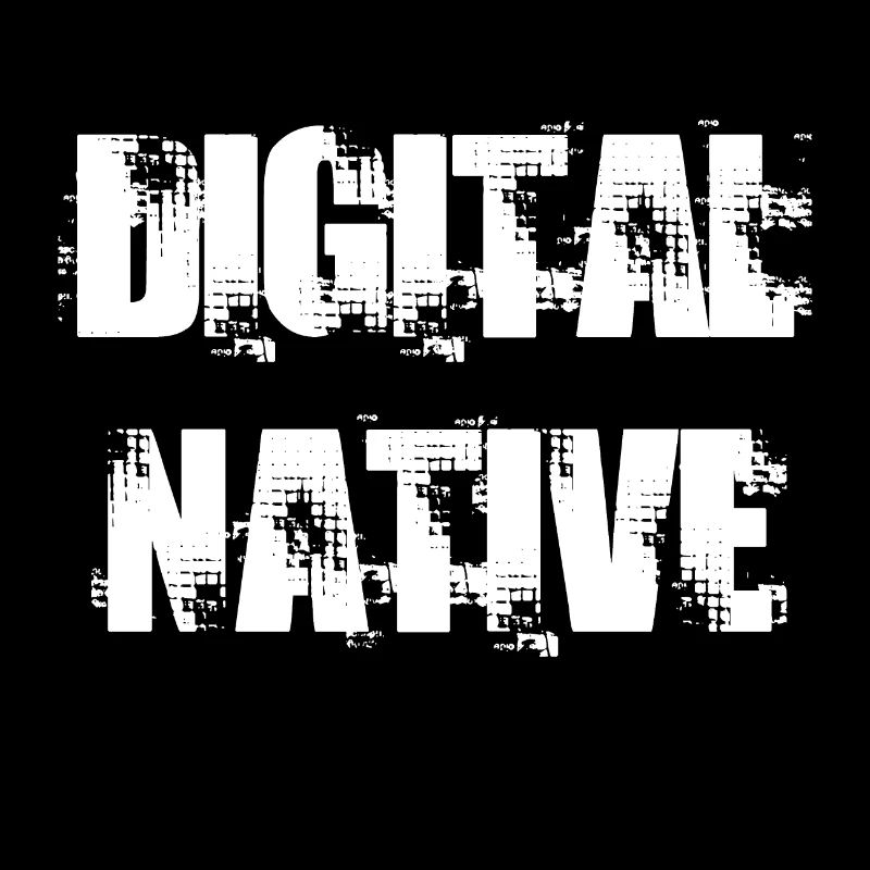 NATIVE NUMÉRIQUE