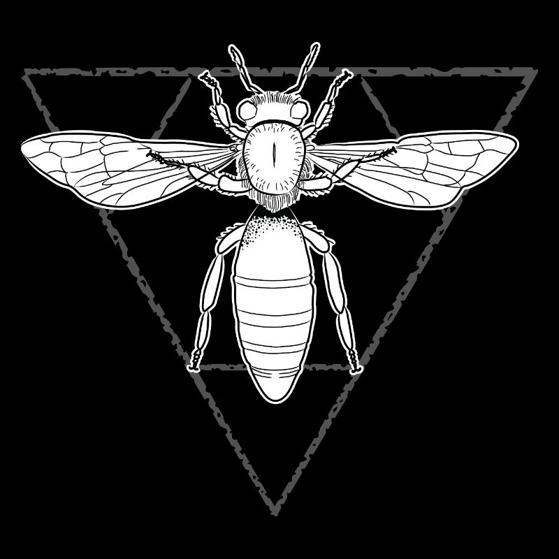 Queen Bee Bee Honey Bee Imme Beekeeper Honeycomb 2
