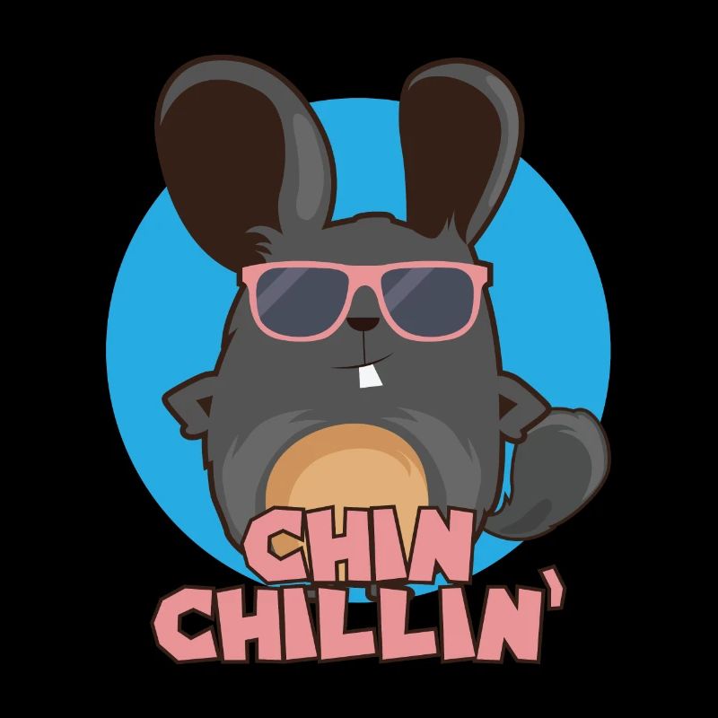 Chinchilla Chinchillin I Cool Sunglasses Gift