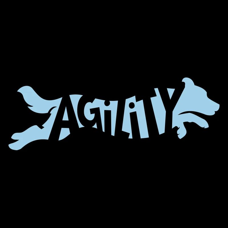 Agility Border Collie