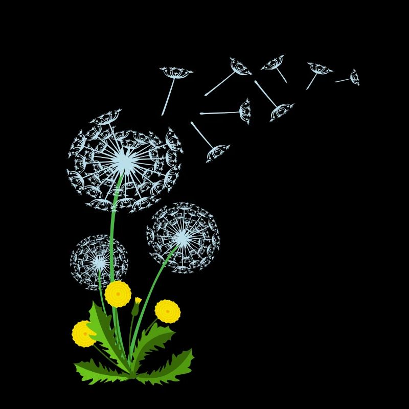 Pusteblume Löwenzahn Dandelion Geschenkidee