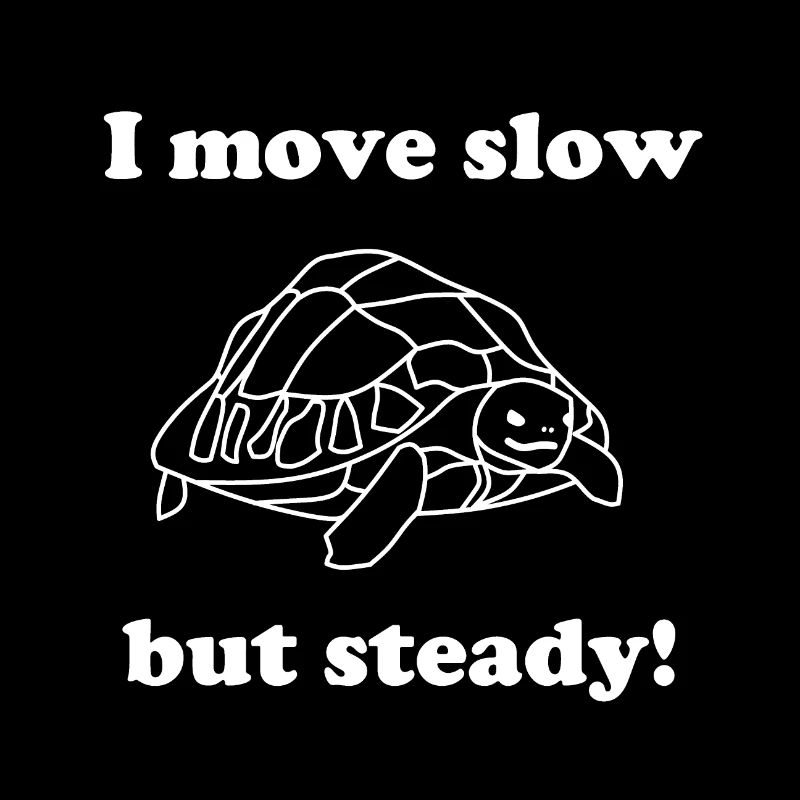 Conception de tortue SlowButSteady