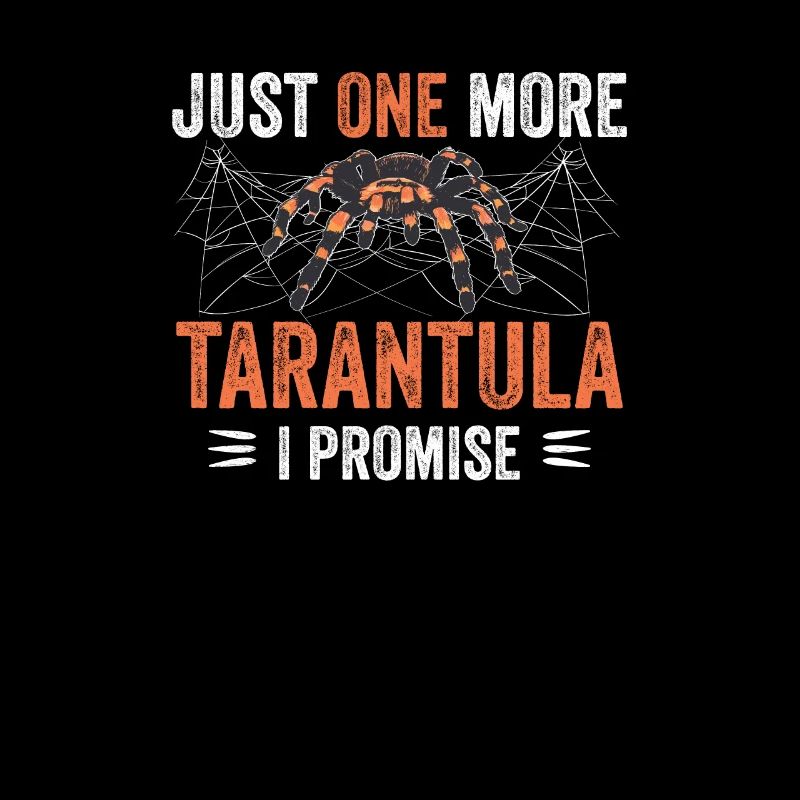 Araignées Toile d’araignée Tarentules Tarentule