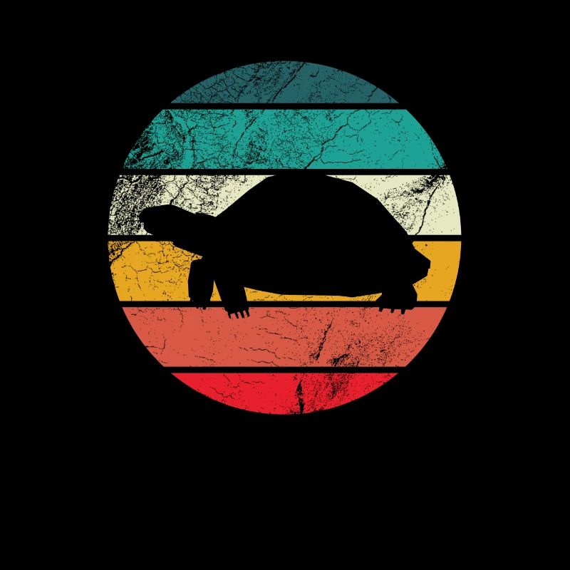 Turtle Turtles Retro Gift