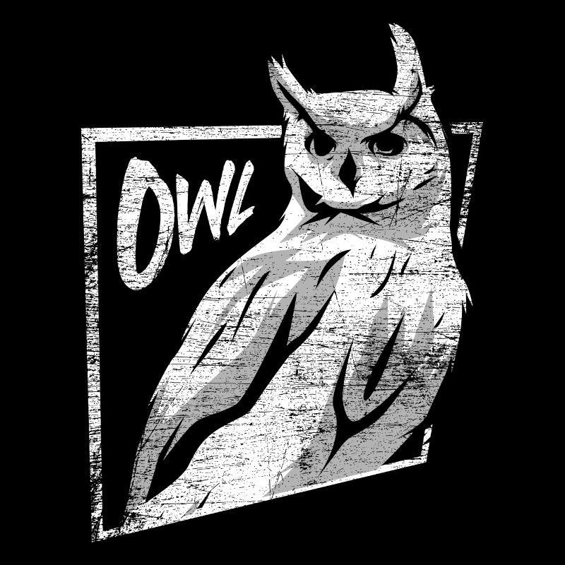 Owl Bird Strigiformes Night Active Gift