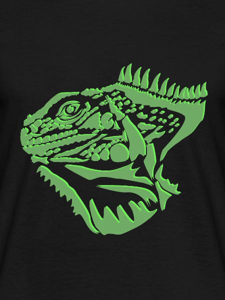 Iguana lizard