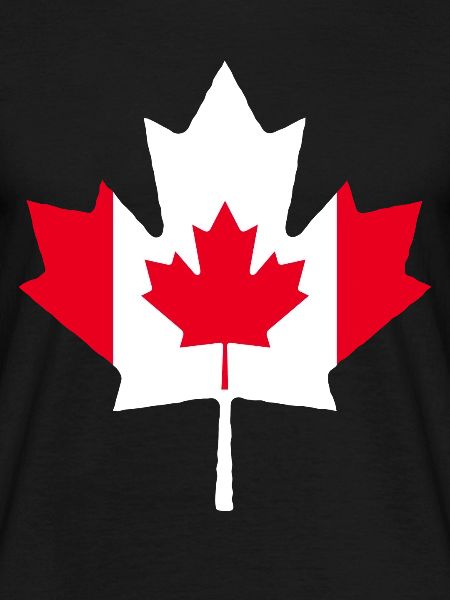 Maple Maple Leaf Canada