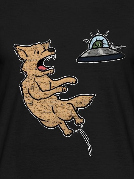 dog frisbee