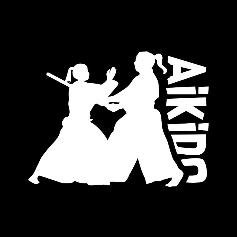 Aikido Fighter