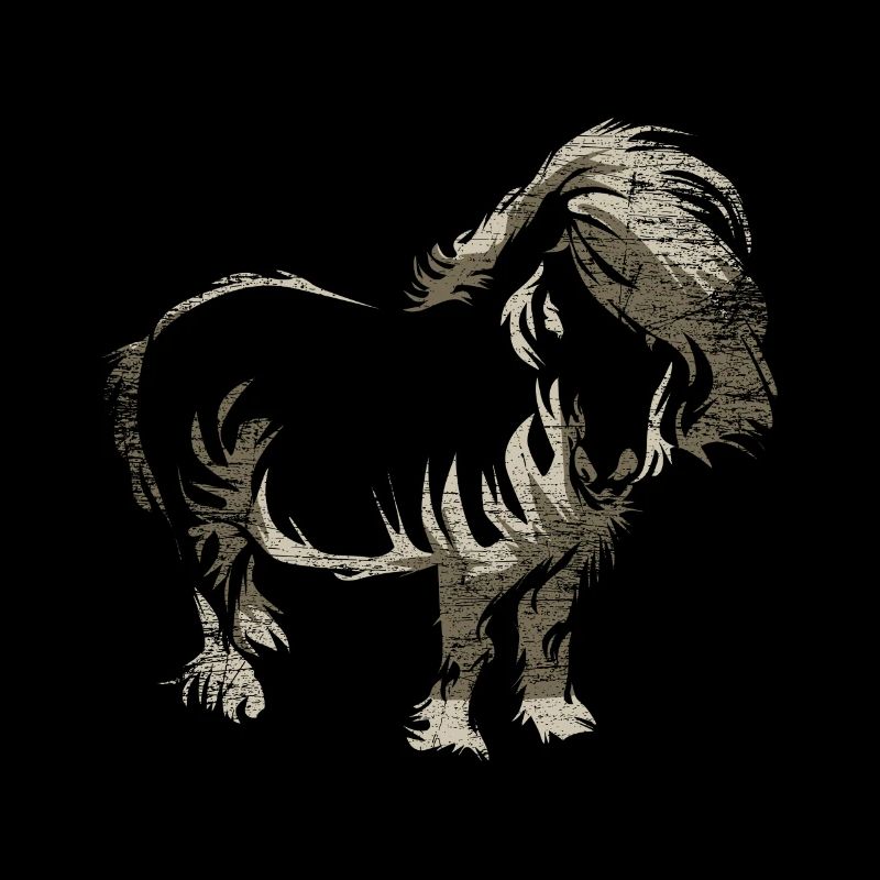 Shetlandpony Geschenk