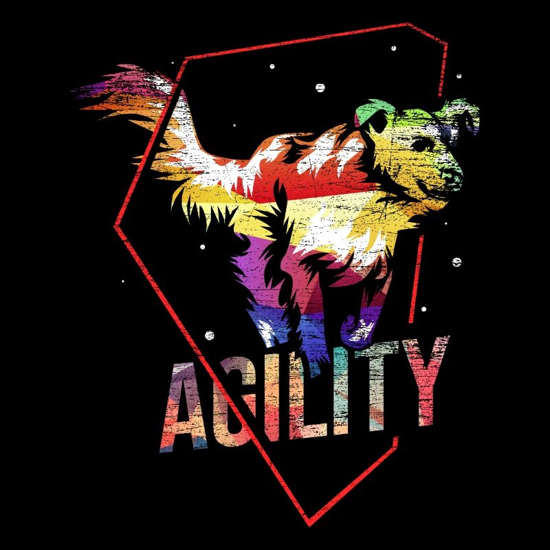 Hunde Agility Geschenk
