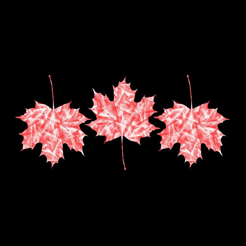 Maple leaves