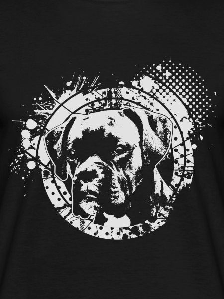 Boxer dog