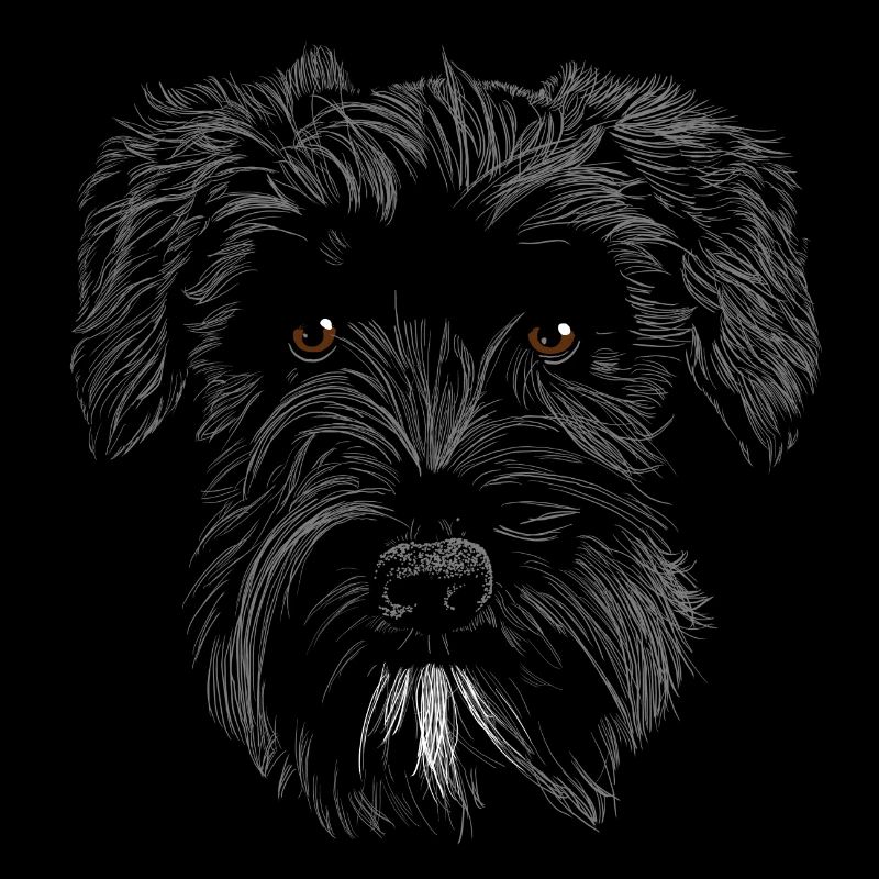 Floki miniature de Schnauzer
