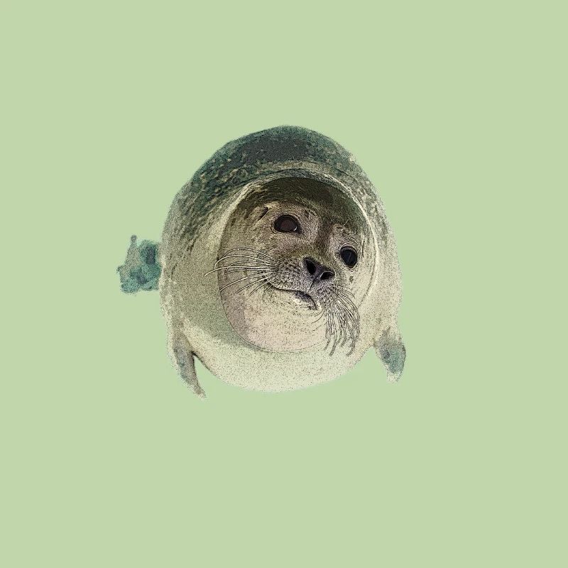 Robbe