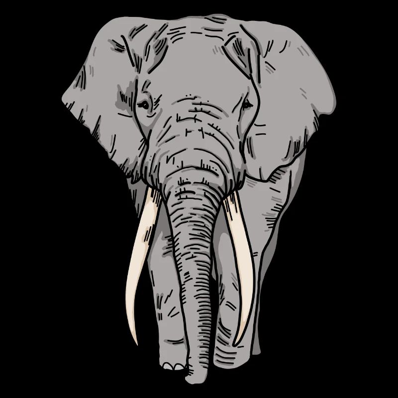 Afrikanischer Elefant