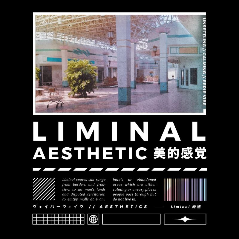 Liminal Spaces Retro 80s & 90s Backrooms Vaporwave