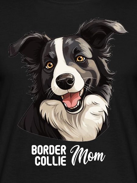 Dog Border Collie