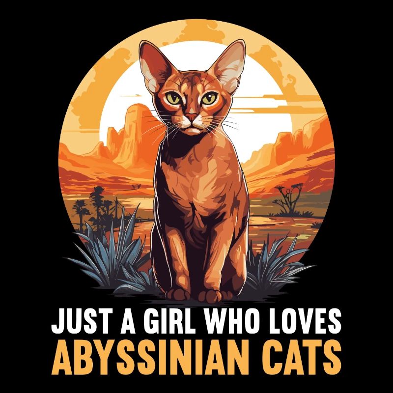Chat d’Abyssinie Abessinierkatze
