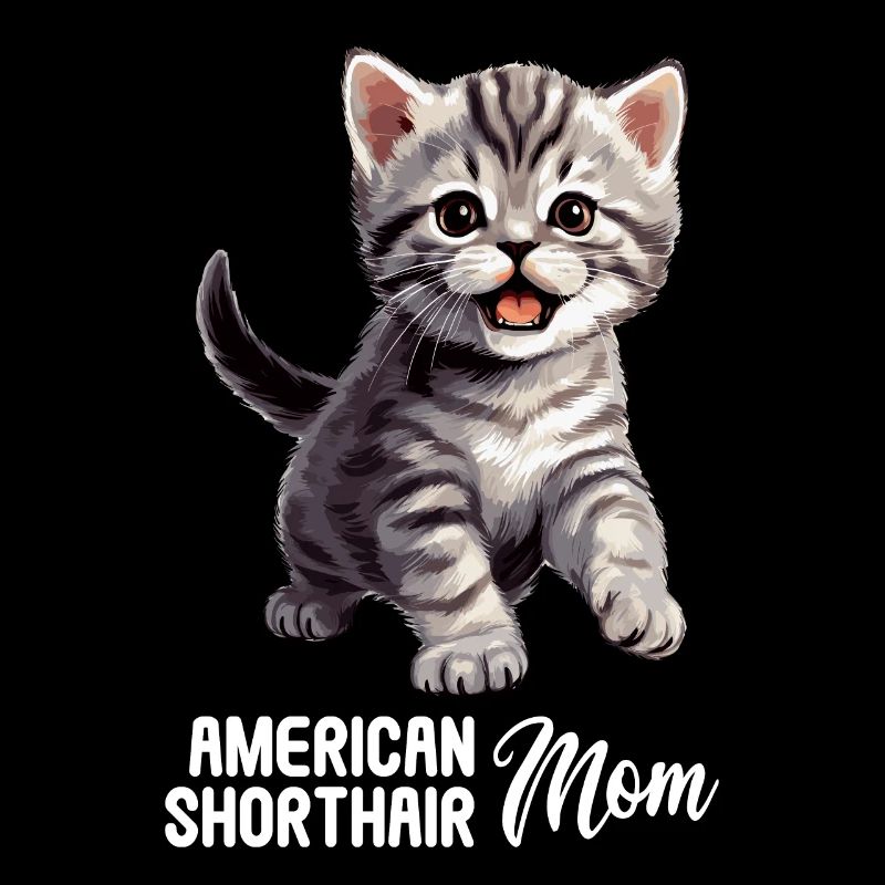 Chat Chats American Shorthair