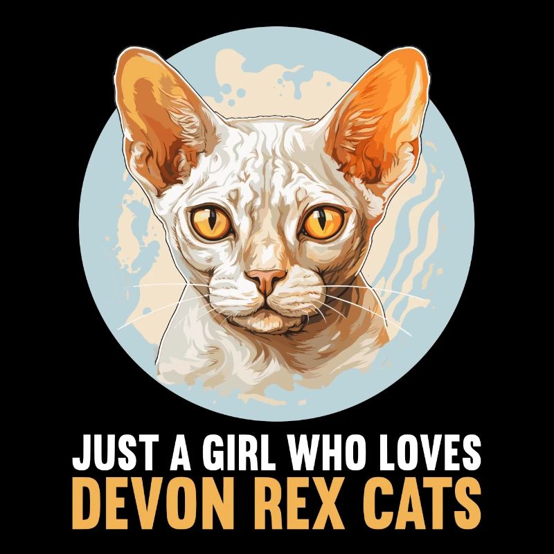 Devon Rex Kätzchen Devon Rex Katze