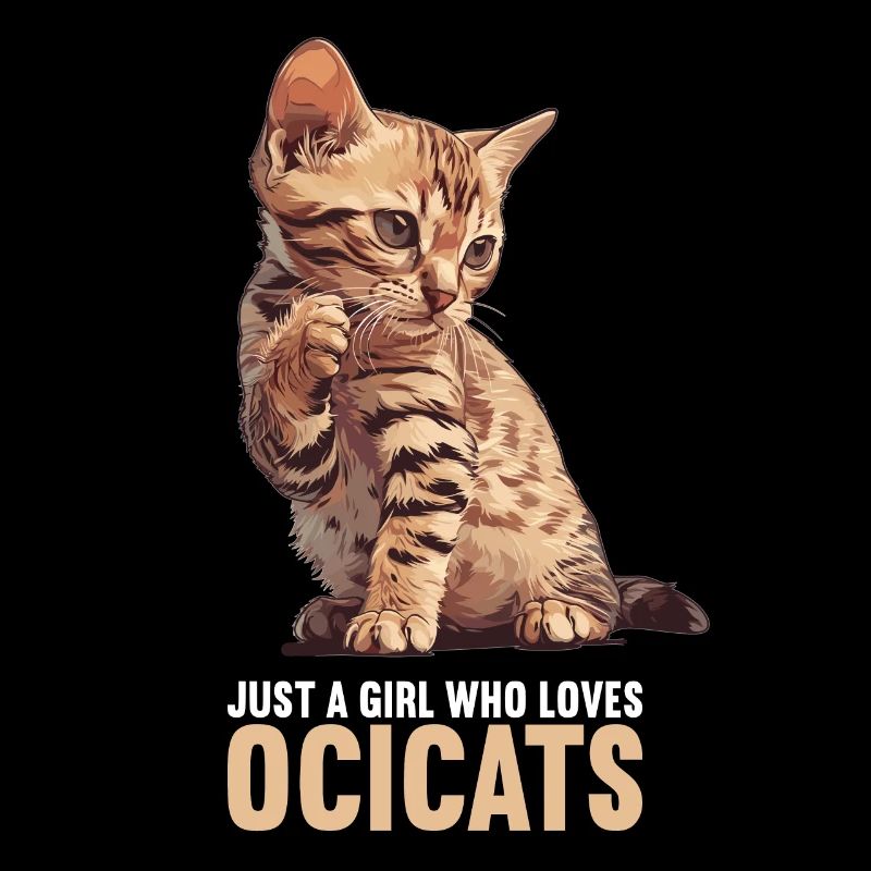Ocicat Kitten Ocicat Cat