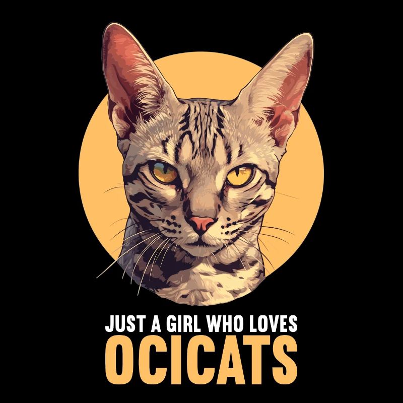 Ocicat Kitten Ocicat Cat