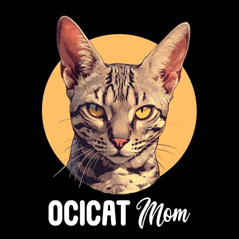 Ocicat Chaton Ocicat Chat