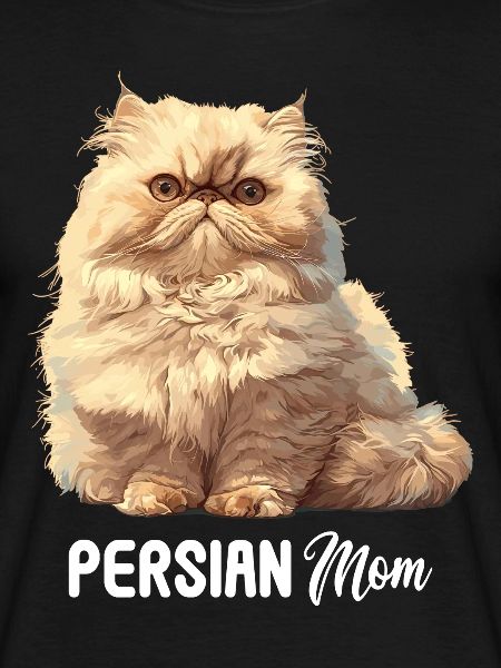 Persian Cat Perserkatze