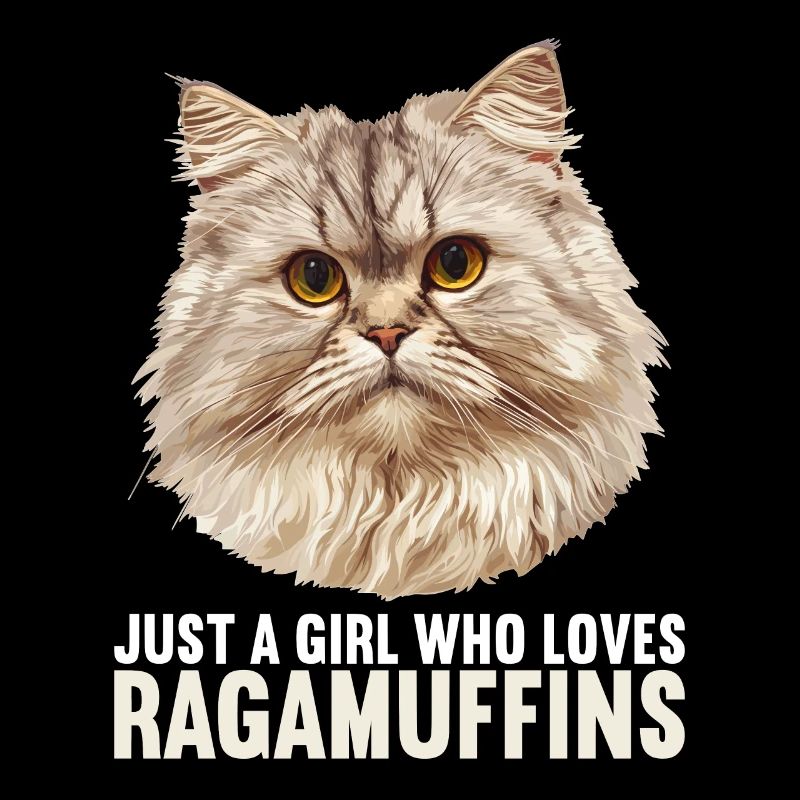Ragamuffin Chaton Ragamuffin Chat