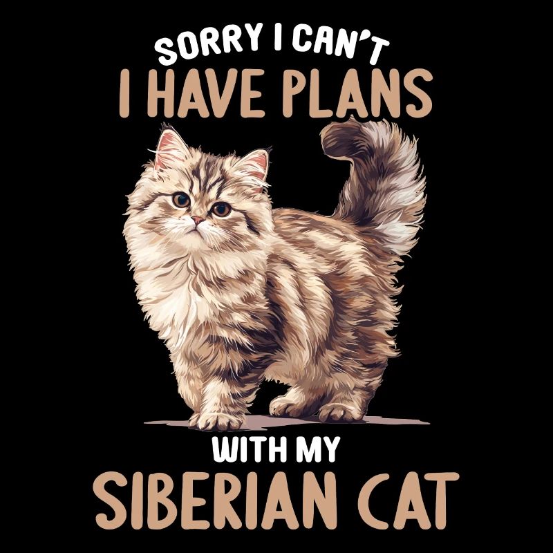 Chat Sibérien Sibirische Katze