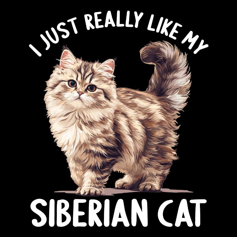 Chat Sibérien Sibirische Katze