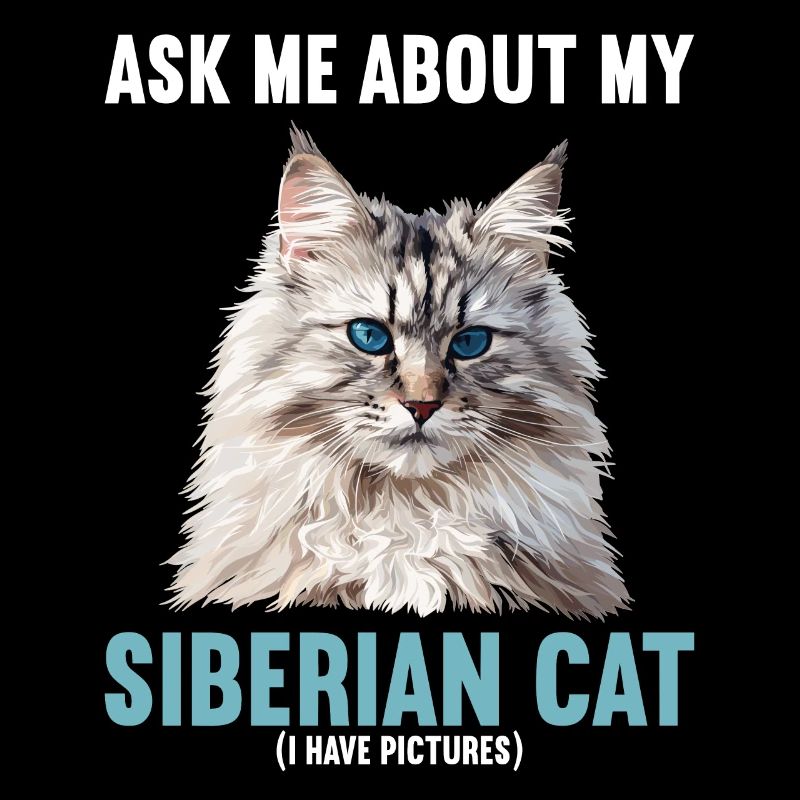 Chat Sibérien Sibirische Katze