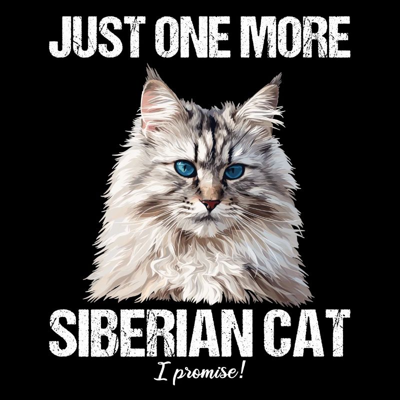 Chat Sibérien Sibirische Katze